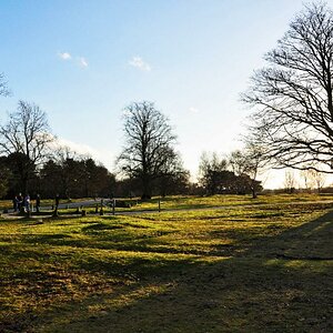 Gegenlicht England