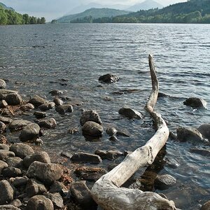 Stock am Loch Oich