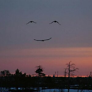 image00111
