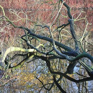 Herbstfarben