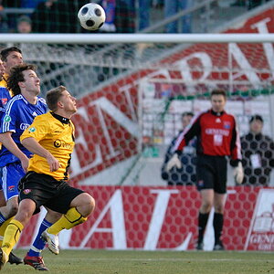 HP 20081123 163248U HACHING DRESDE