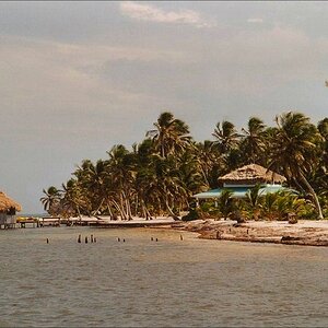 comp San Pedro   Ambergris Cay 22