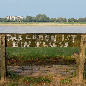 Rhein 6