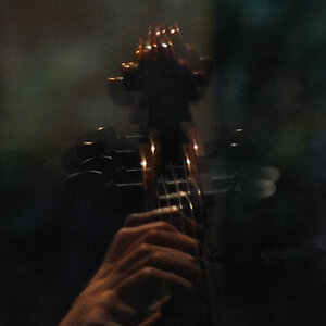 Cello3