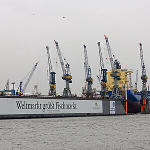 SF5M8541 bearbeitet 3