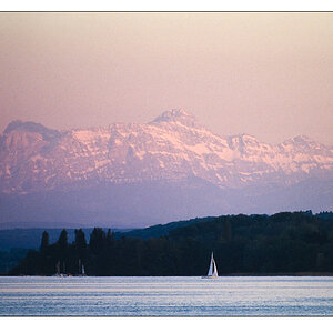 bodensee