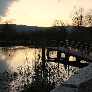 Hallwilersee