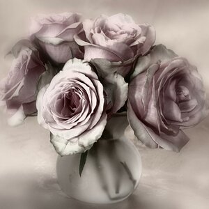 Rosen