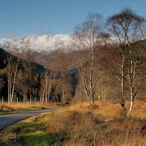 Eingang Glen Cannich mit "Sgurr na Lapaich" und "An Riabhachan"