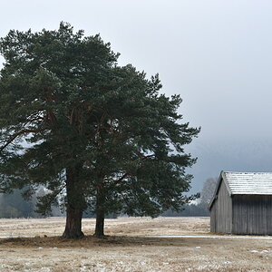 20090103 134608 Murnauer Moos