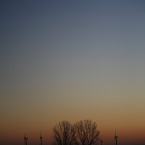 IMG 4892 comp