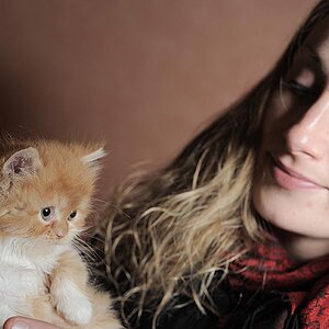 2008 11 24 Katzis D7C 6913