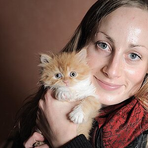 2008 11 24 Katzis D7C 6915