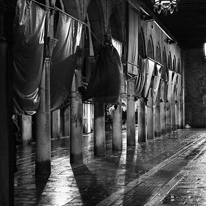 NFF 20081104 175958Venedig