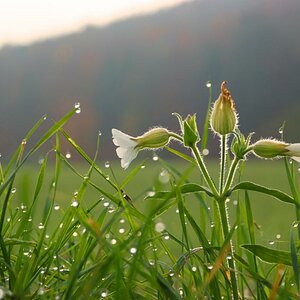 DSCF0759a