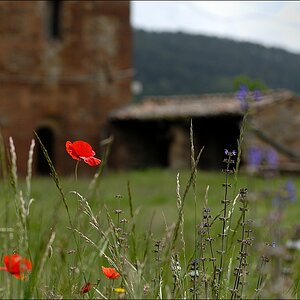 San Galgano