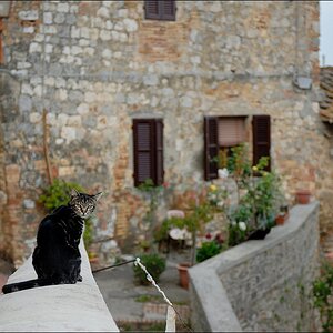 San Gimignano