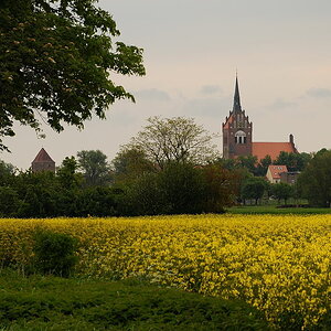 D30 5286f
