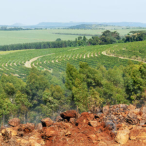 DSC 0513 web