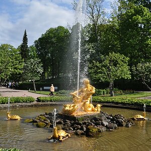 comp Peterhof