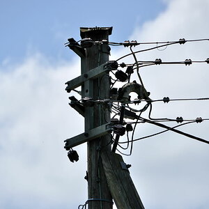 DSCV1446
18-200VRII bei 200mm f/5.6 1/1600s und VR aus.