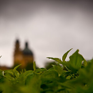 20100514 DSC 4584