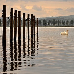 Untersee