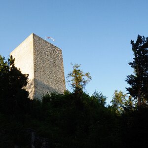 DSC 3107