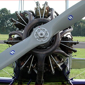 Fw 44 Stieglitz "D-EMIL", Motoransicht