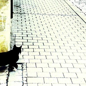 laChat