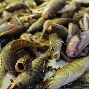 Athener Markthalle