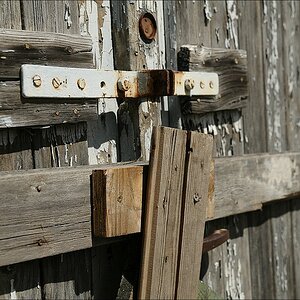 comp D31 5643