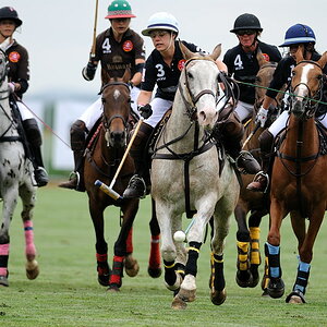 4 20100619 143933 polo wallerstein