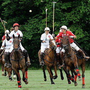 10 20100619 174127 polo wallerstein