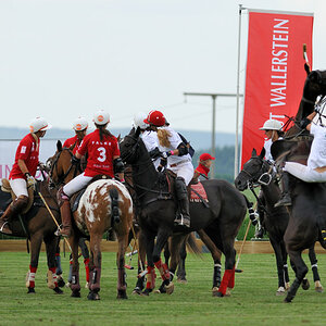 16 20100619 180003a polo wallerstein