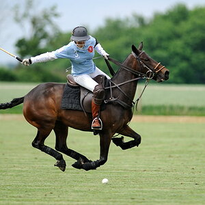 21 20100620 151714 polo wallerstein