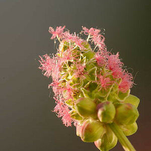 2010 06 21 19 59 05