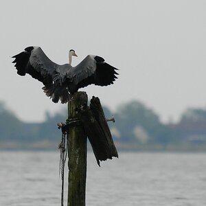 Usedom DSC 3202