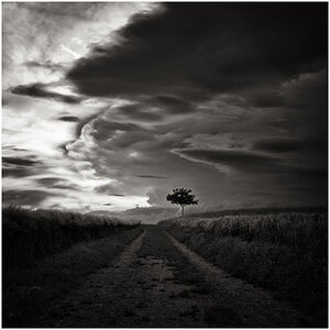 Road to nowhere