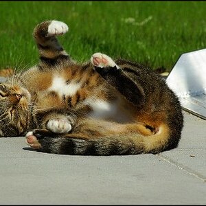 Mickey - Sonne ist toll