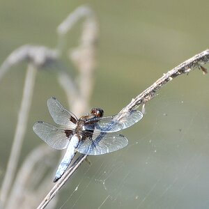 A Weiher 03