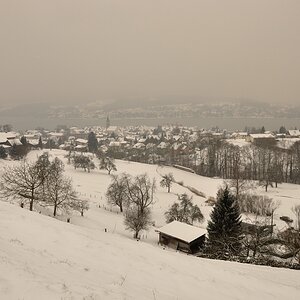Steckborn Winter