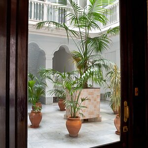 web Andalusien 100612 6376