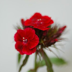 20100613 20