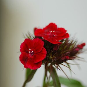 20100613 22