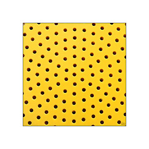 Buntes Leben im Quadrat 036