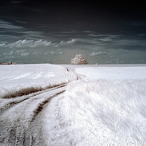 The way to... 1