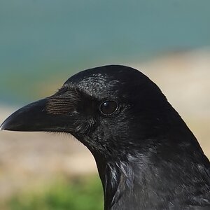 DSCF9862
