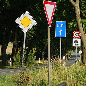 DSC 2072 bearbeitet 1