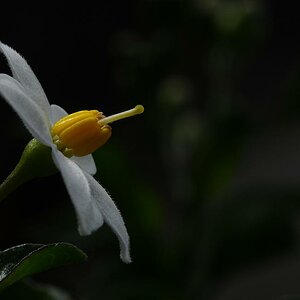 DSC 5408
